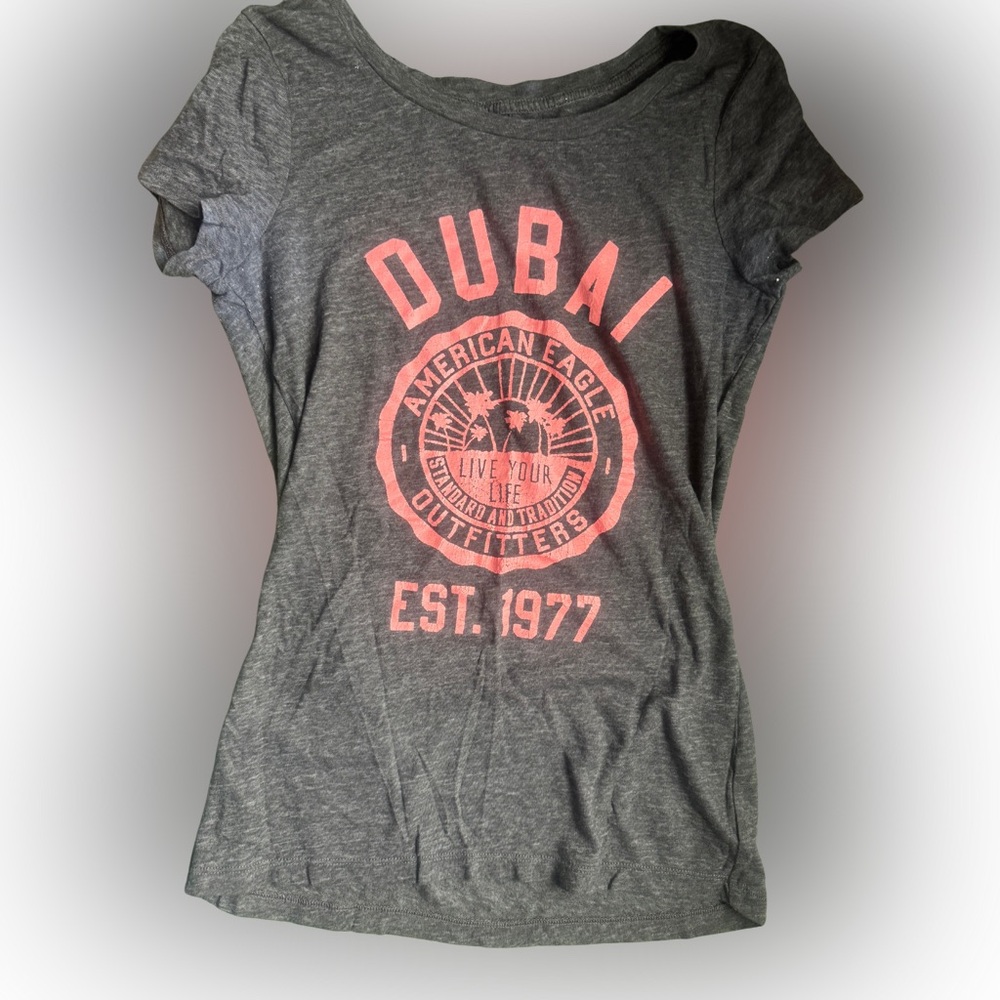 American Eagle Outfitters Gray and Pink Dubai Graphic Tee
